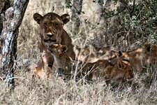 DSC_8920_2.jpg DSC_8920_2.jpg