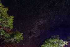 DSC_4934_DxO.jpg DSC_4934_DxO.jpg