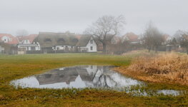 Wieck im Nebel 2025.jpg