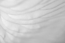 comp1_DGC_2680-B1MK.jpg