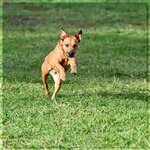 NZ6_1209_RLT (Copy).jpg