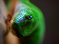 DSC03713.jpg DSC03713.jpg