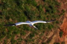 comp_Helgoland 2025-2756.jpg