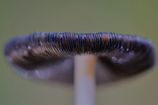 20251019-0R5A8978-52-R5.jpg