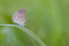 20251022-20251022-IMG_5398 ZS48 1-200 f32 400 100-bg.jpg