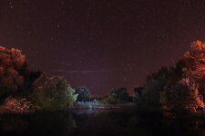 DSC01881 Nachts am Goldfischteich Fledermaus Komet Sterne Milchstraße 2025.JPG