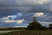 Herbstlicht_1604.JPG