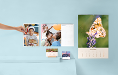 1761539392072.png 1761539392072.png