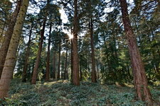 Panasonic S 18-4_Forstbotanischer Garten_Flickr.JPG