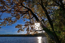 Panasonic 18-40_Herbstfaerbung am See_Flickr.JPG