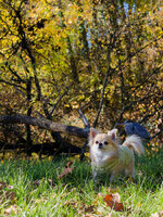 PA300939_DxO.jpg PA300939_DxO.jpg