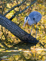 PA300941_DxO.jpg PA300941_DxO.jpg