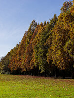 PA300966_DxO.jpg PA300966_DxO.jpg