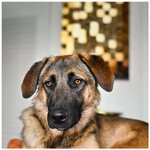 NZ6_0208_RL (Copy).jpg