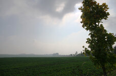 herbst 006.jpg