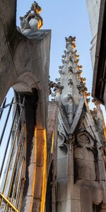 0Q2A3749.jpg 0Q2A3749.jpg