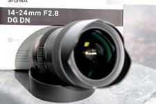 Sigma_14-24_2.8_002.jpg