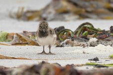 Schottland 2025_ (832).jpg