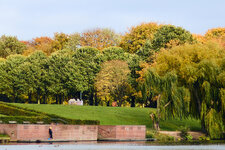 6R4A8185 crop.jpg 6R4A8185 crop.jpg