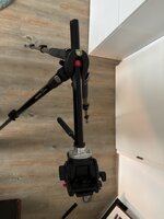 Mittel (IMG_1925).jpeg