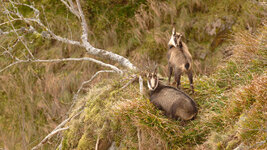 Z91_2058-NEF-20251105-DxO_DeepPRIME XD2.jpeg