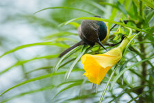 20251019-R_7_4736-bg.jpg 20251019-R_7_4736-bg.jpg