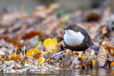 PB072535.jpg PB072535.jpg