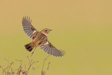 PB071012.jpg PB071012.jpg