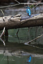 vorlage_hoch_3000.jpg vorlage_hoch_3000.jpg