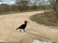 IMG_5154.jpeg IMG_5154.jpeg