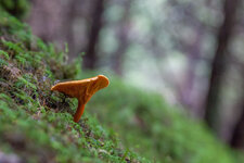 2013.09.15 09-56-23 7585.jpg