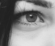 crop-auge.jpg