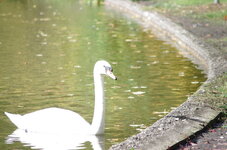 IMGP1423.JPG