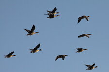IMG_5683.JPG