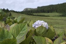 SAM_0693.jpg