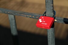 Dresden 22.10.2013.jpg