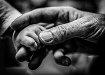 hands small (1 von 1).jpg