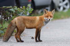20131019-IMG_9537-2.jpg