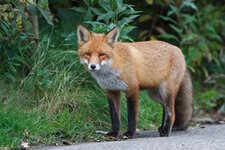 20131019-IMG_9547-2.jpg