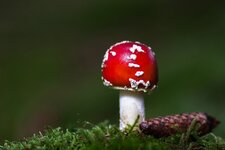 comp_IMG_6563.jpg comp_IMG_6563.jpg