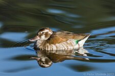 comp_EOS 5D Mark III-8406 - LR4.jpg