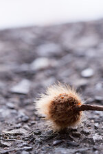 Diverse_Macros-2-27.jpg