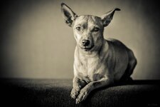 compIMG_8977.jpg
