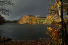 Autumn Tints.jpg