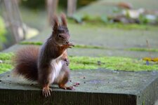 comp_DSC_3453.jpg