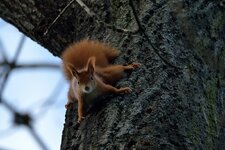 comp_DSC_3650.jpg