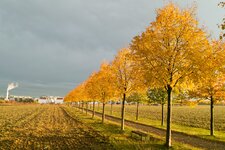 mailHerbst_20132.jpg