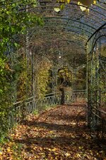 DSC_8638_DxO.jpg