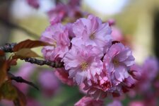 IMG_7447.JPG