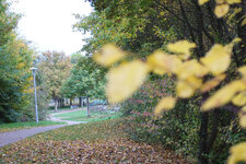 DSCF0014.jpg